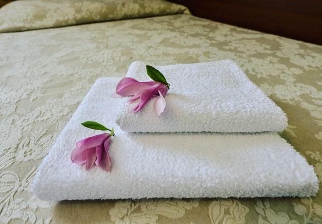 Hotel Mateo Stopnica Kültér fotó